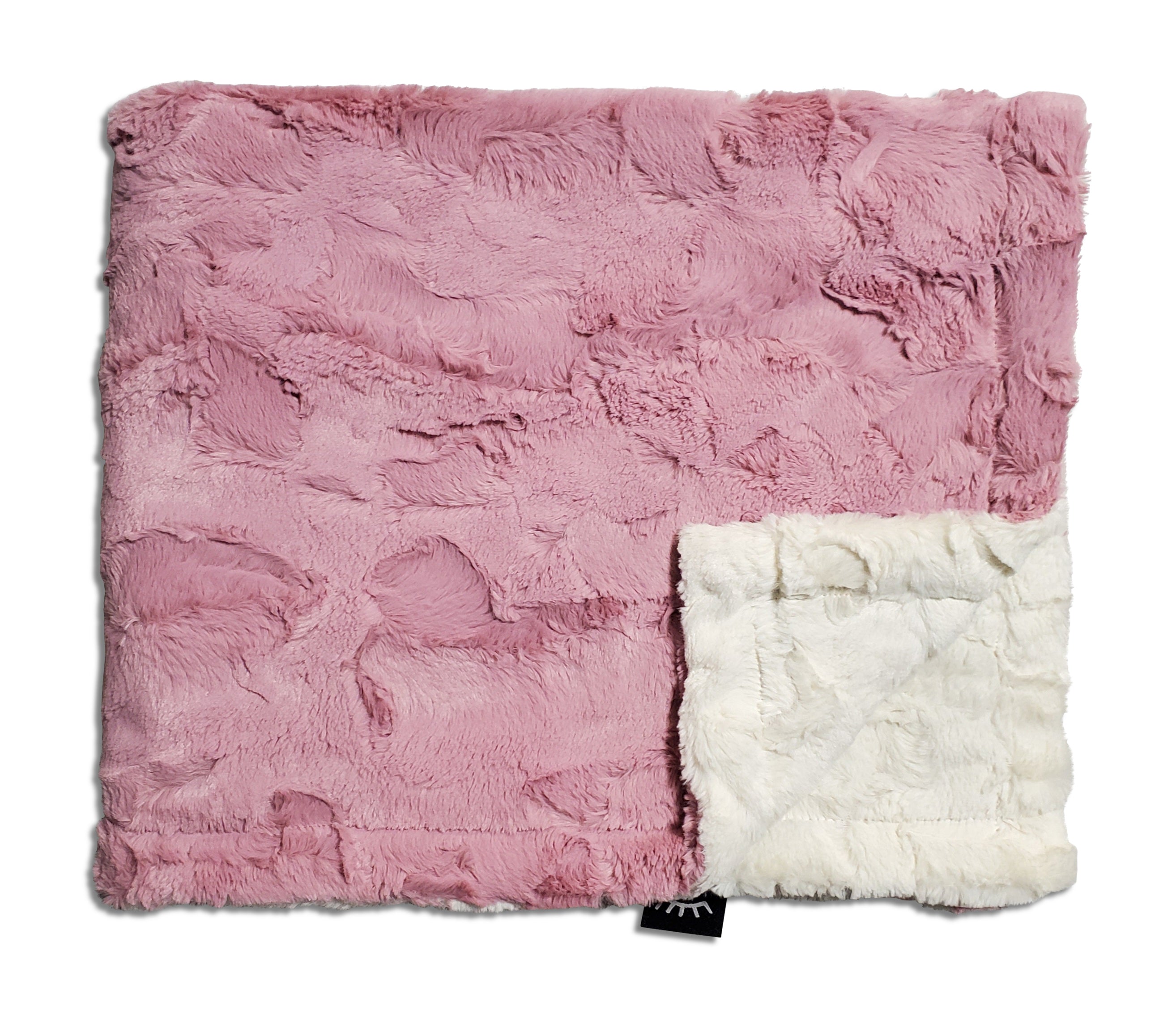 Winx + Blinx Minky Blanket