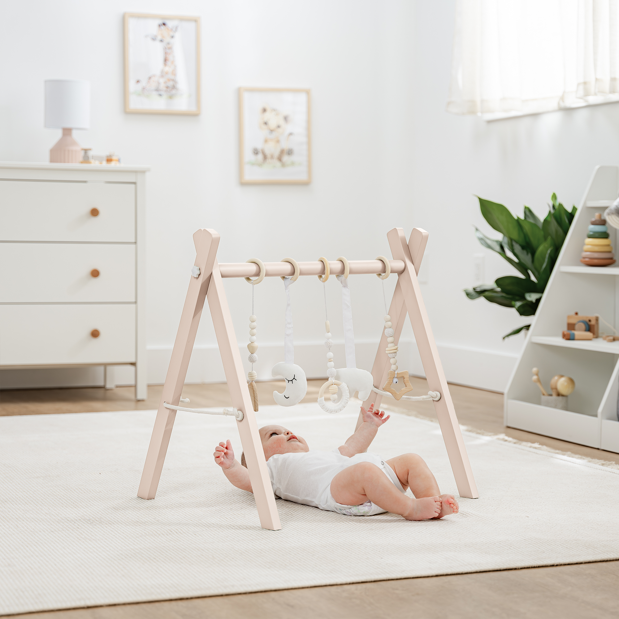 Comfy Cubs Baby Play Gym