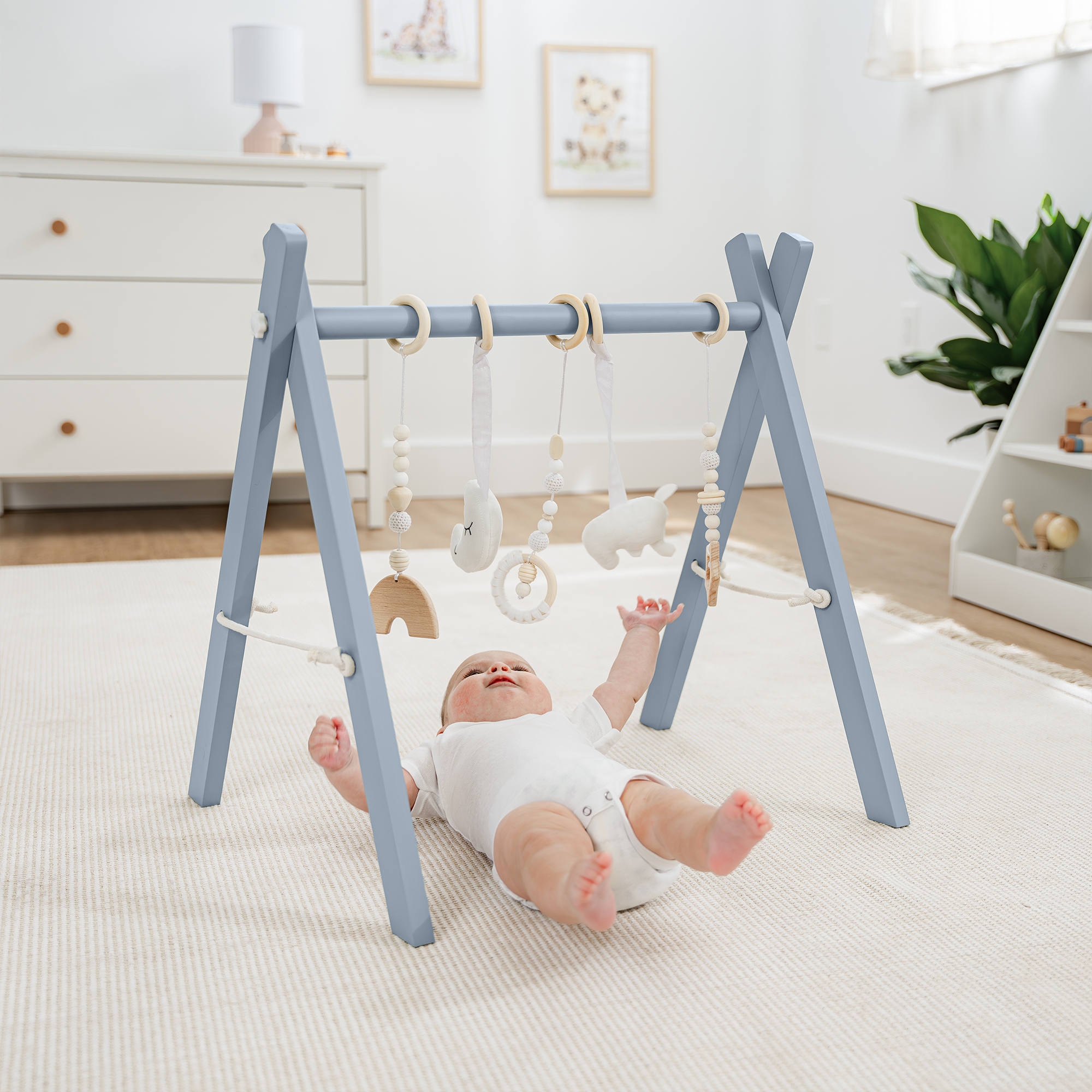 Comfy Cubs Baby Play Gym