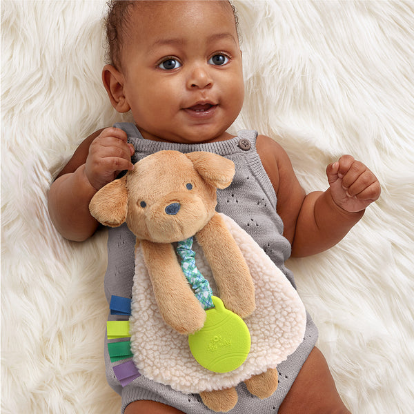 Itzy Ritzy Itzy Lovey Plush Toy And Teether