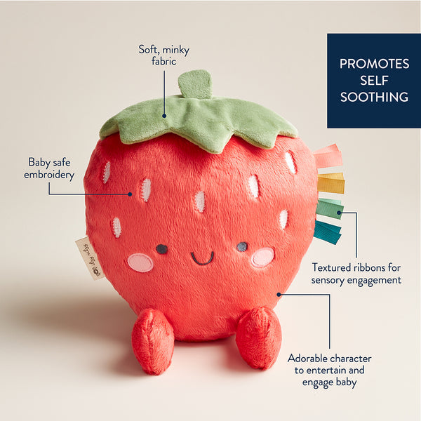 Itzy Ritzy Sweetie Snuggle Plush Toy
