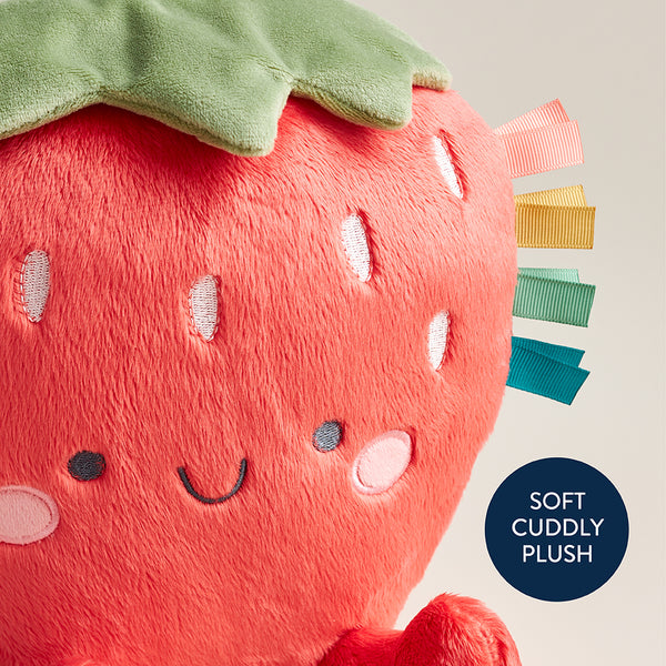 Itzy Ritzy Sweetie Snuggle Plush Toy