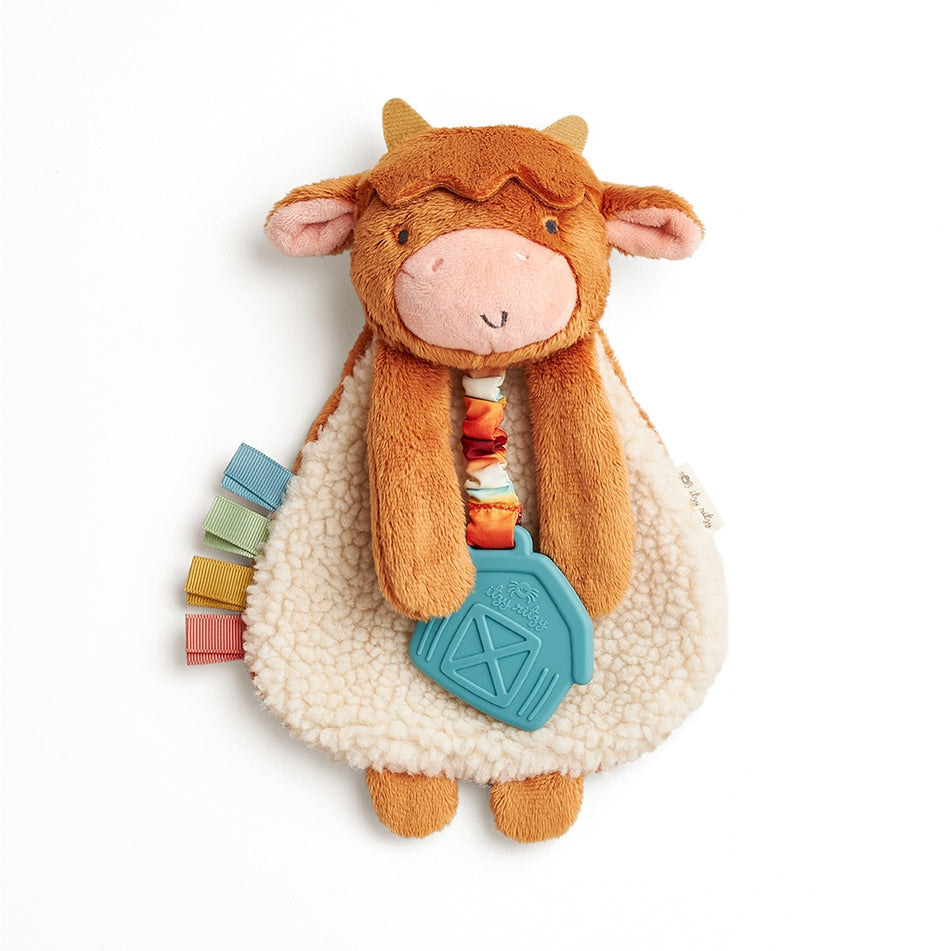 Itzy Ritzy Itzy Lovey Plush Toy And Teether