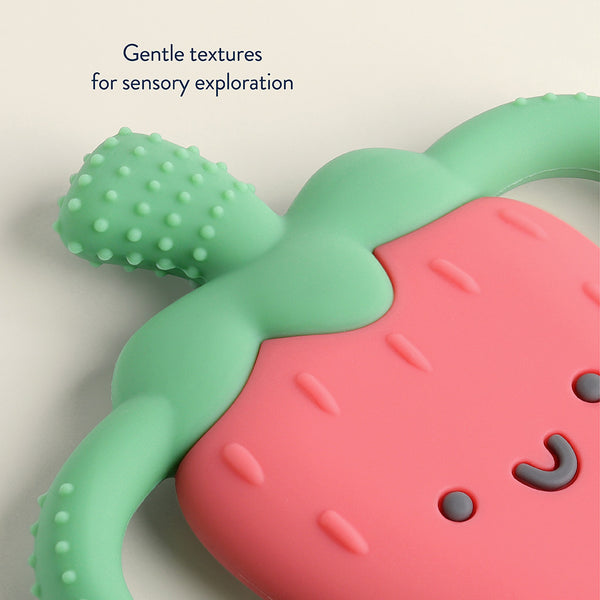 Itzy Ritzy Chew Crew Silicone Teether