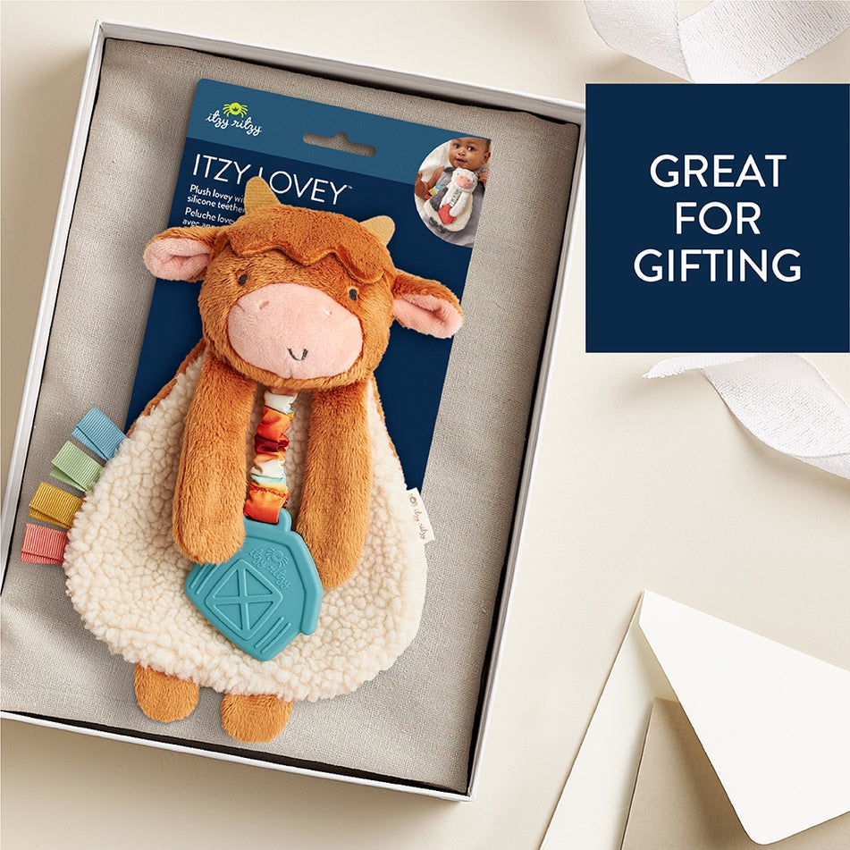 Itzy Ritzy Itzy Lovey Plush Toy And Teether