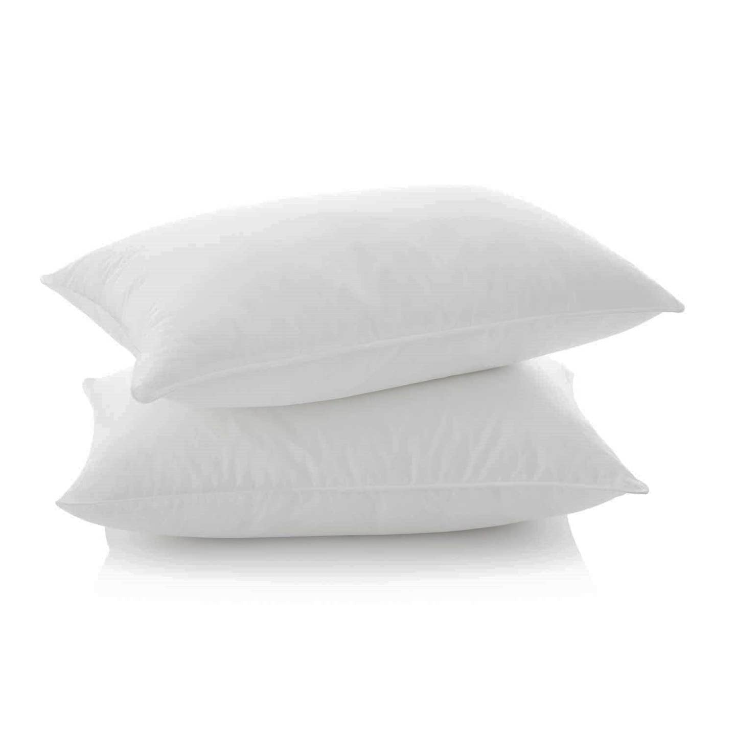Edward Boutross Pillow Insert | 12x16