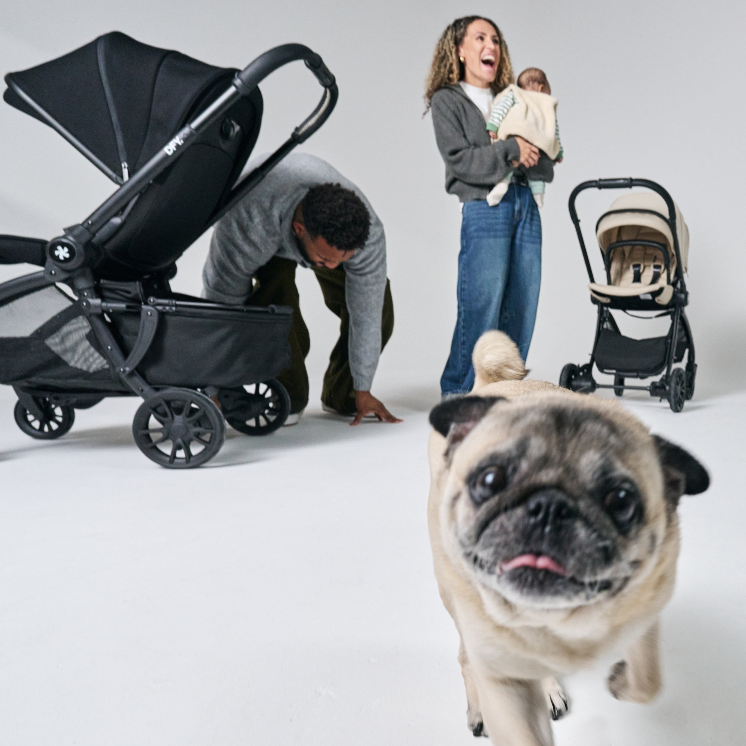 DFY. R1 Stroller Pet Basket