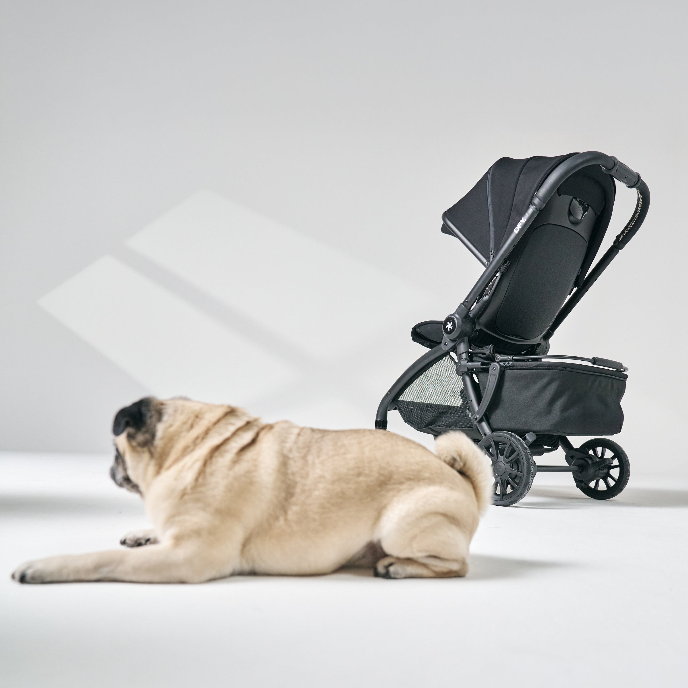 DFY. R1 Stroller Pet Basket