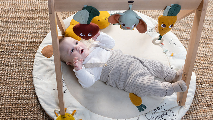 Tiny Love Garden of Adventures Luxe Developmental Gymini With Book