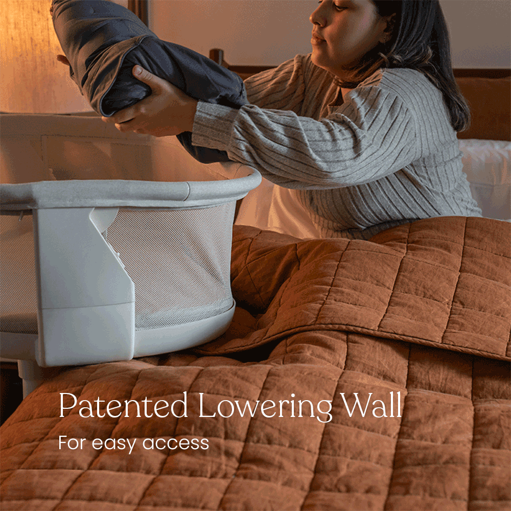 Halo BassiNest Swivel Sleeper 4.0 Signature
