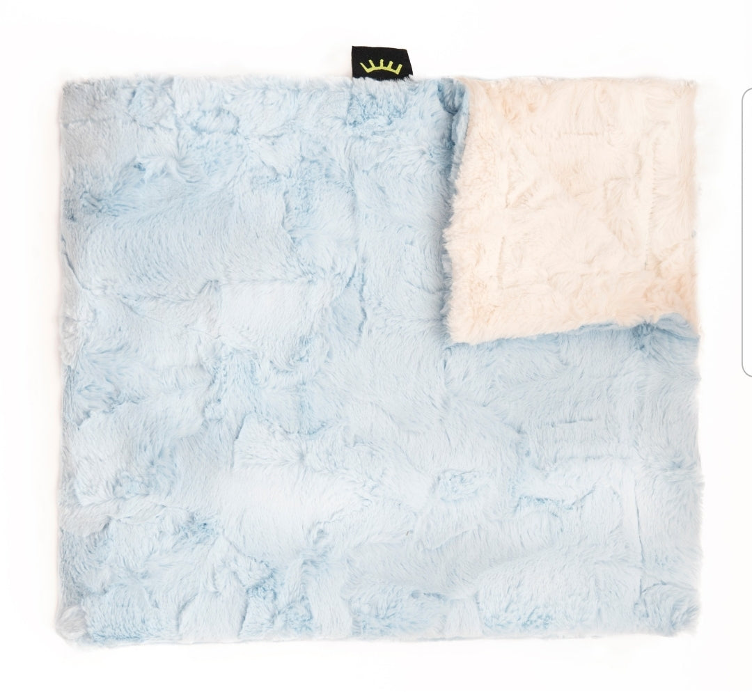 Winx + Blinx Minky Blanket