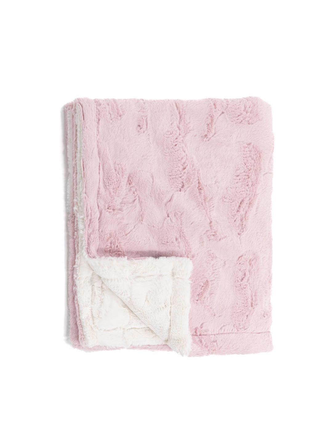 Winx + Blinx Minky Blanket