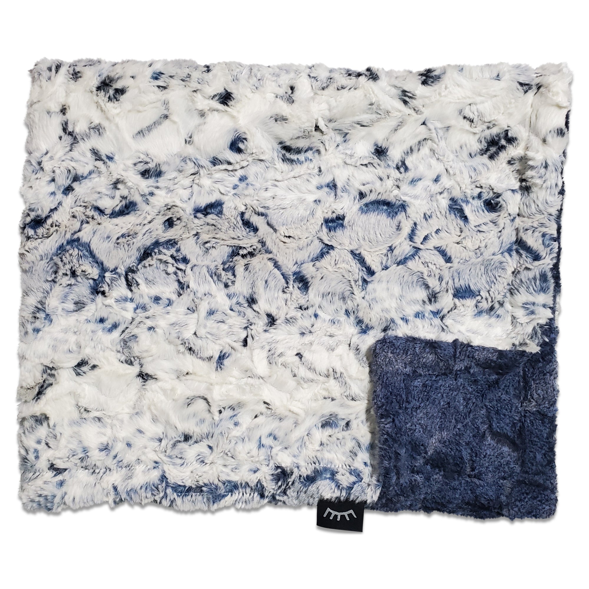 Winx + Blinx Minky Blanket