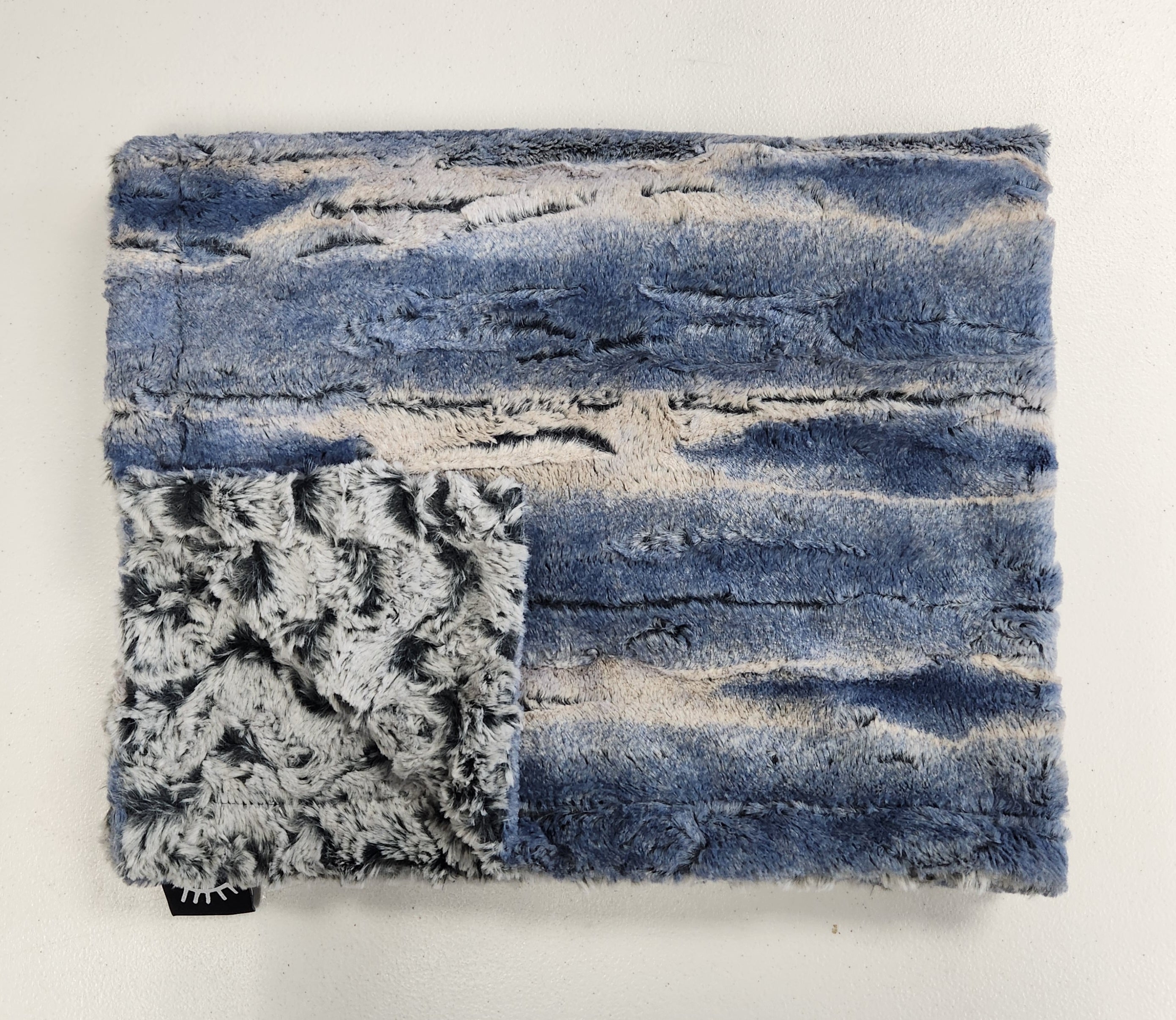 Winx + Blinx Minky Blanket