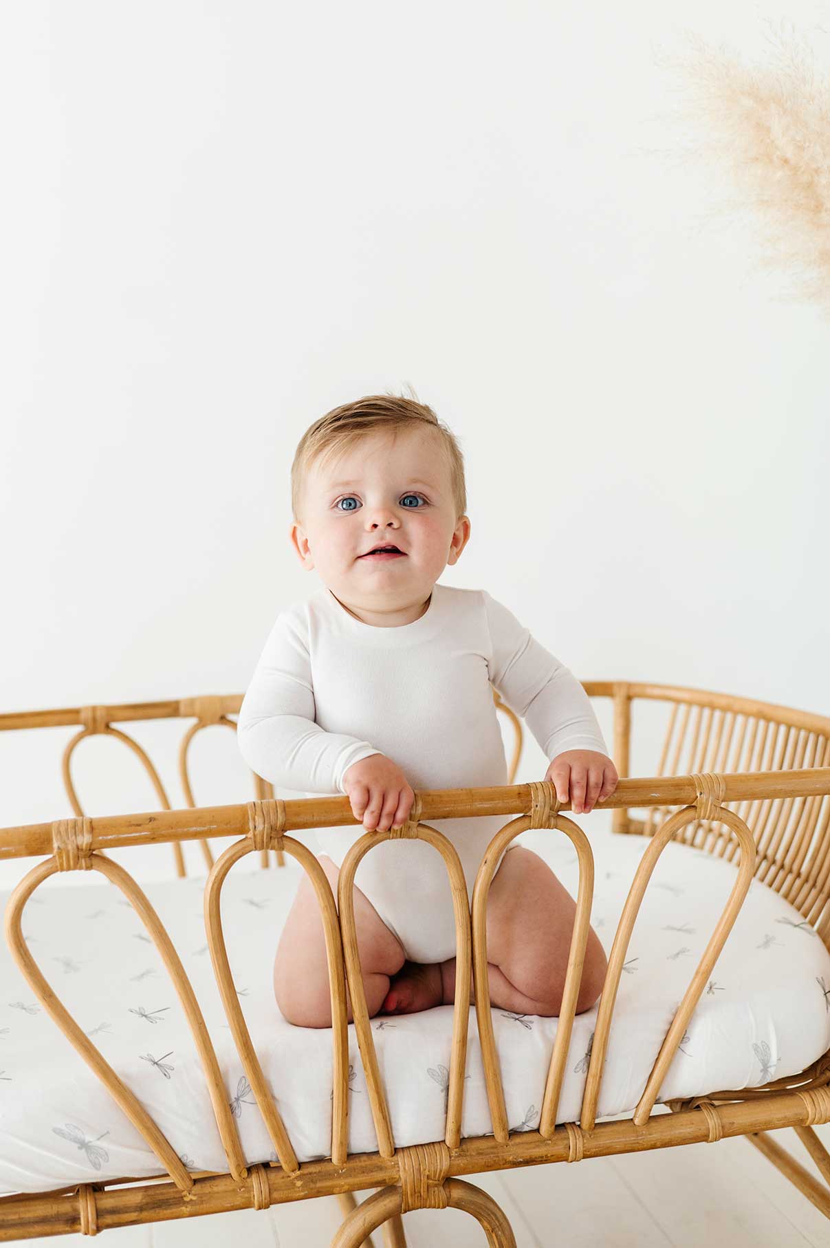 Ely's & Co. Cotton Cradle Sheet/ Changing Pad Cover - 2 Pack