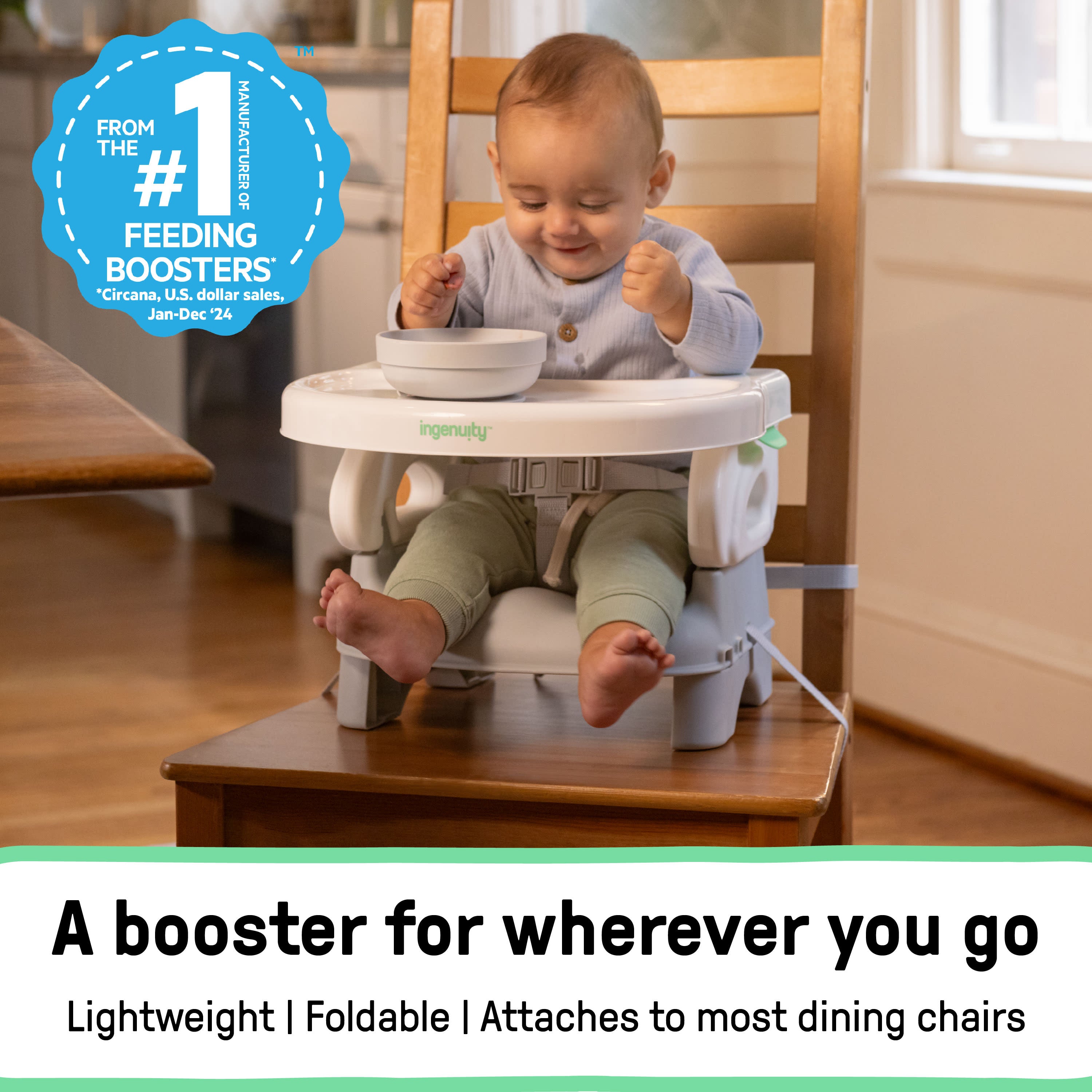 Ingenuity Deluxe Comfort Folding Baby Booster