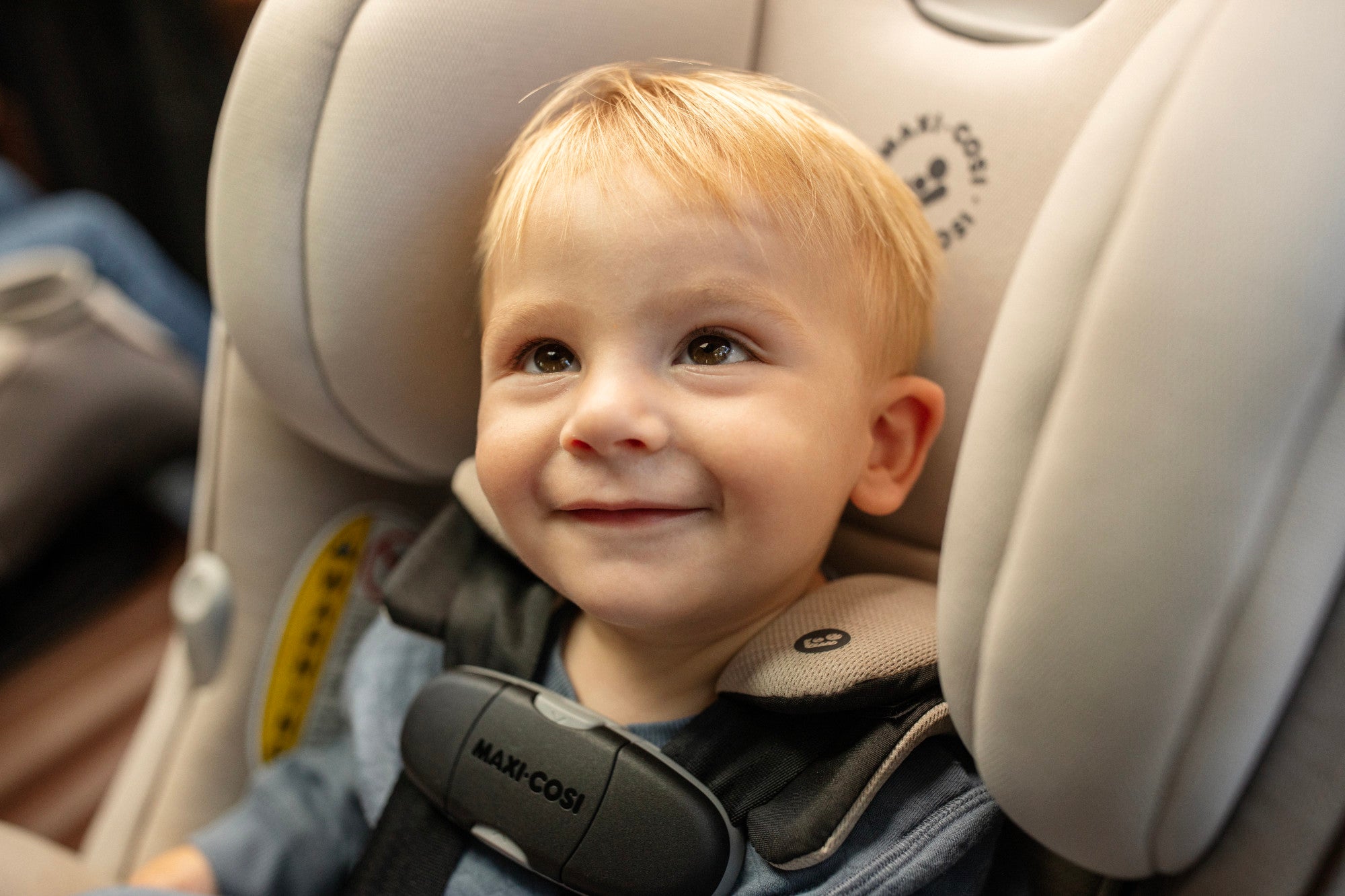maxi cosi magellan all in one Maxi-Cosi Magellan LiftFit All-in-One Convertible Car Seat