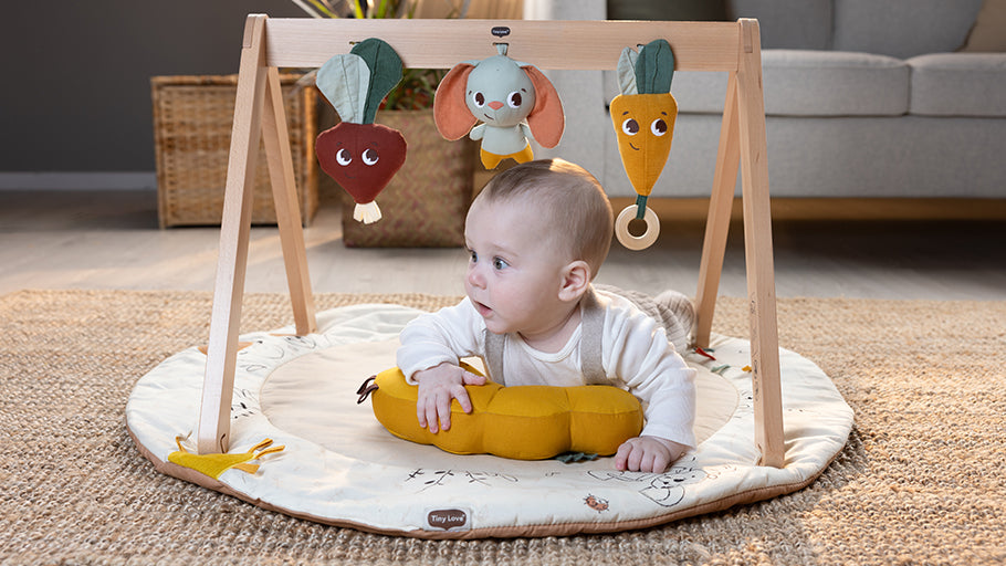 Tiny Love Garden of Adventures Luxe Developmental Gymini With Book