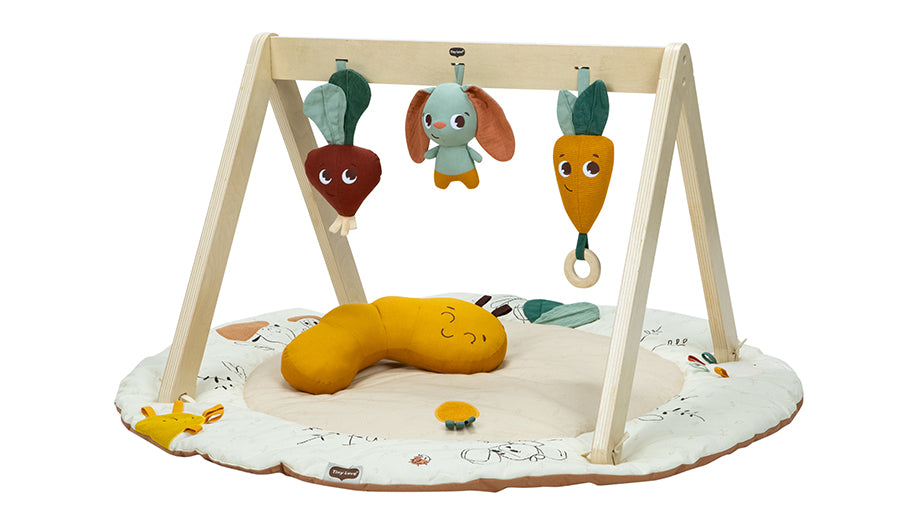 Tiny Love Garden of Adventures Luxe Developmental Gymini With Book