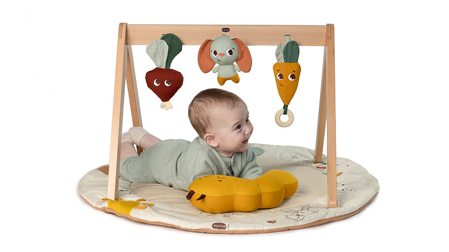 Tiny Love Garden of Adventures Luxe Developmental Gymini With Book