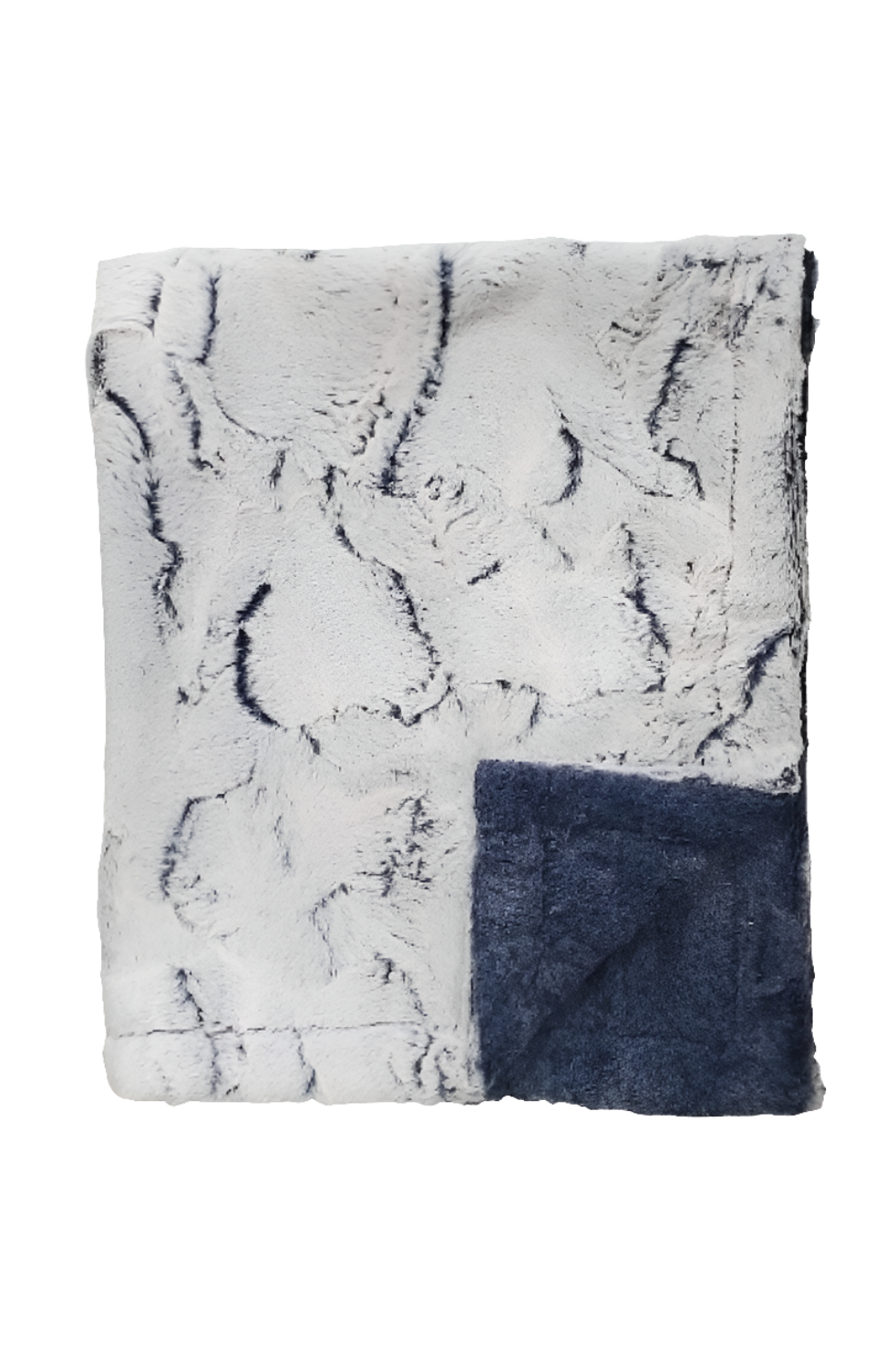 Winx + Blinx Minky Blanket