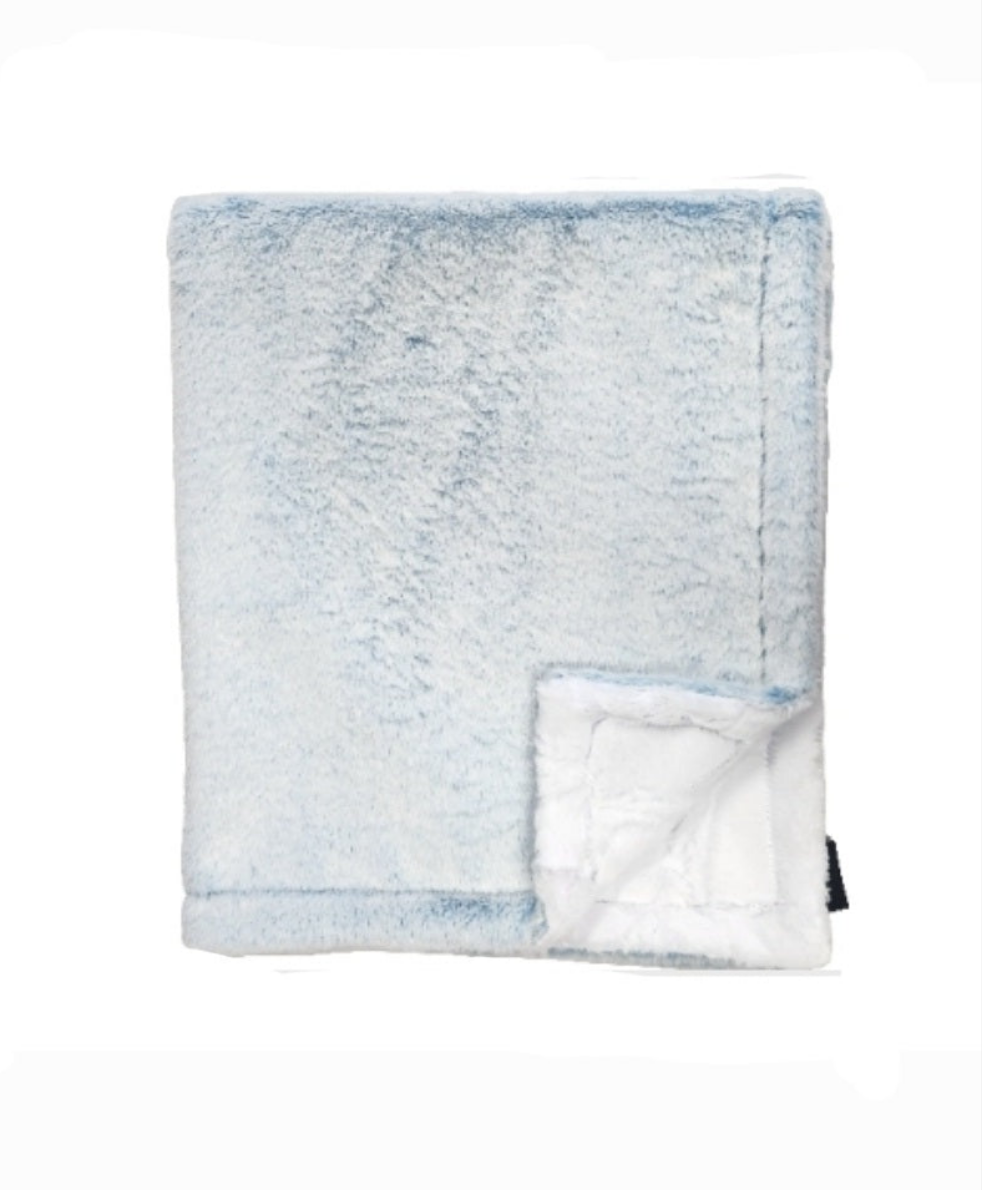 Winx + Blinx Minky Blanket