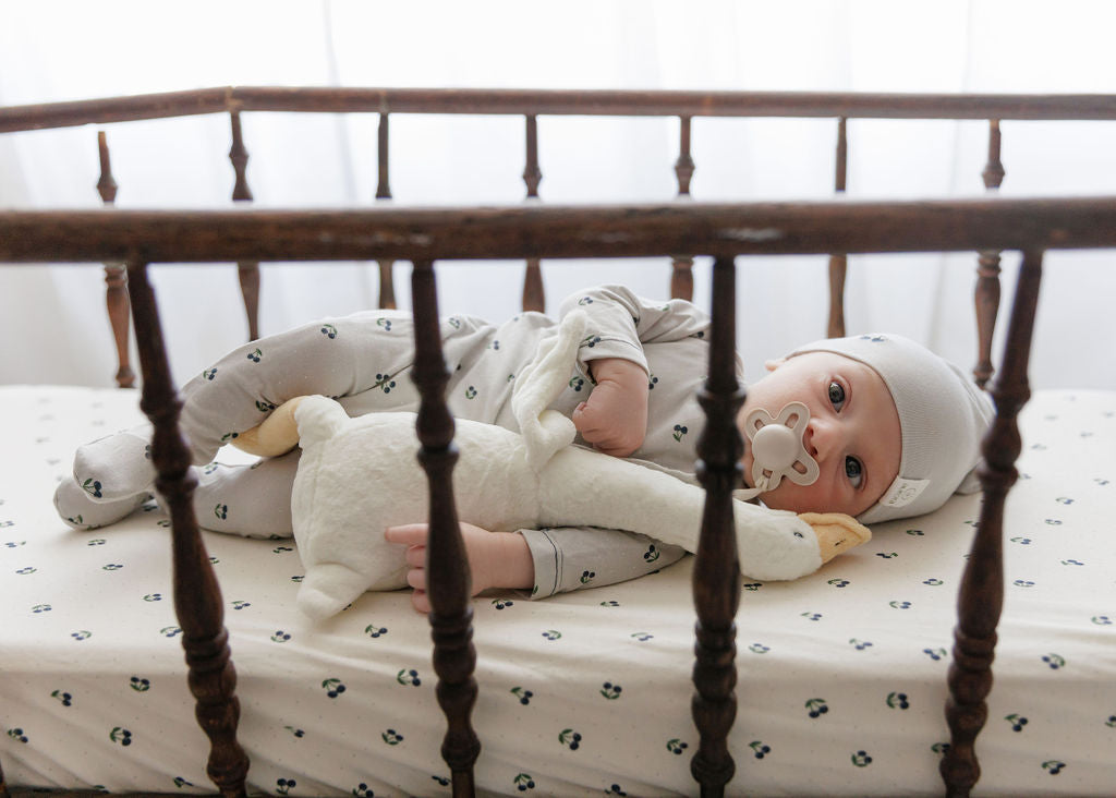 Aurora Classics Cotton Pack N Play/ Porta Crib Sheet - 2 Pack