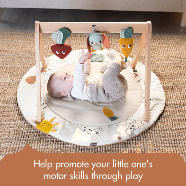 Tiny Love Garden of Adventures Luxe Developmental Gymini With Book