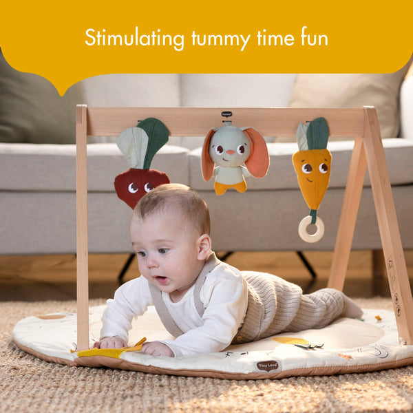 Tiny Love Garden of Adventures Luxe Developmental Gymini With Book
