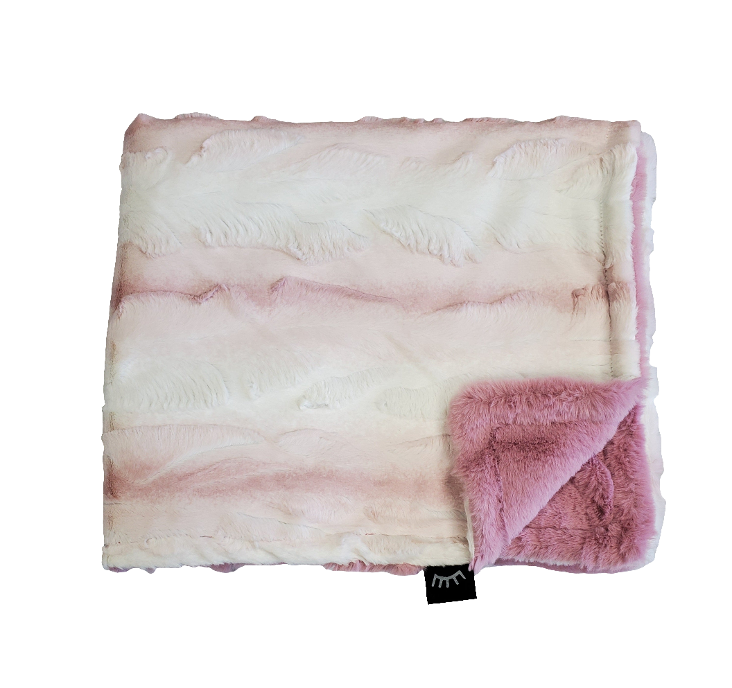 Winx + Blinx Minky Blanket