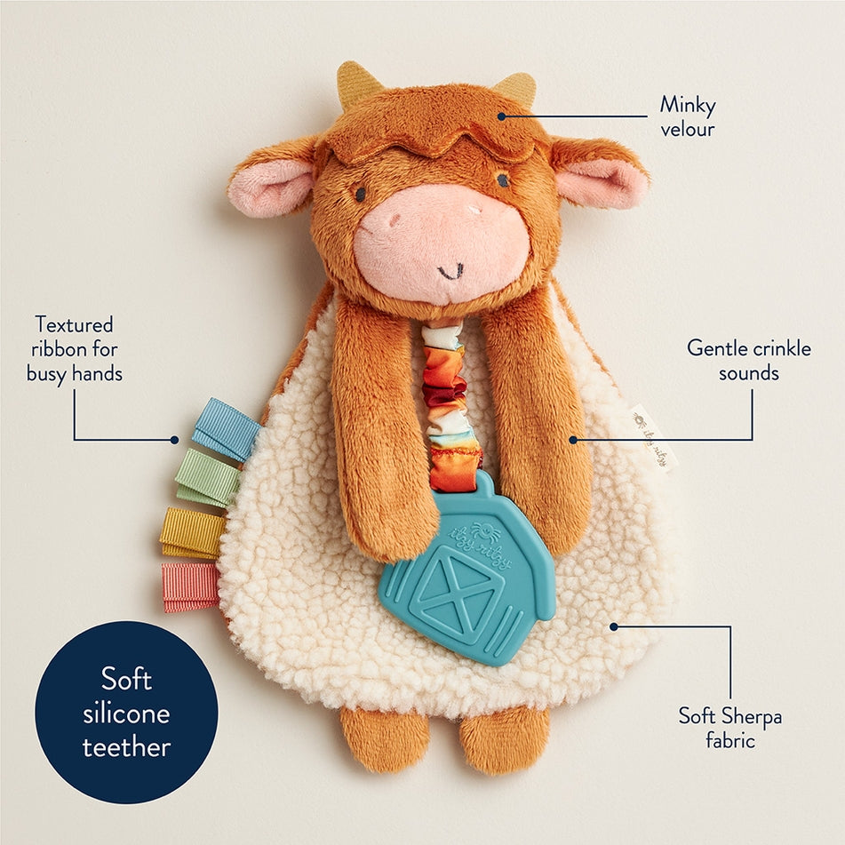 Itzy Ritzy Itzy Lovey Plush Toy And Teether