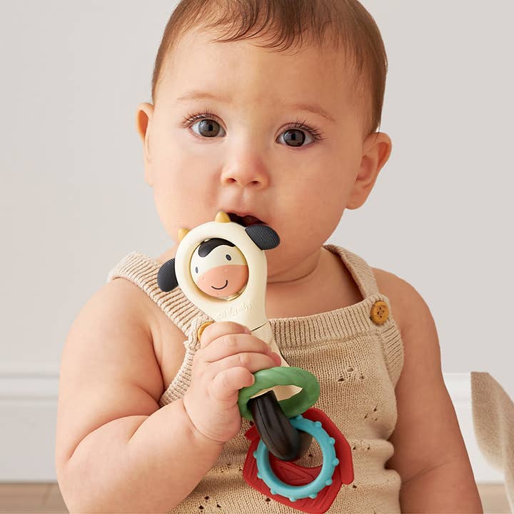 Itzy Ritzy Spinner Rattle