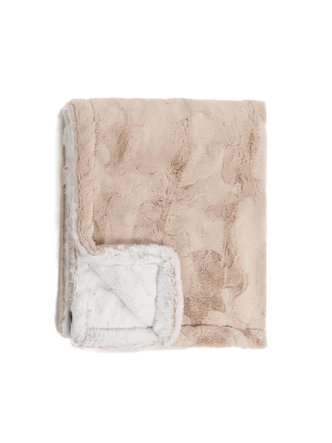 Winx + Blinx Minky Blanket