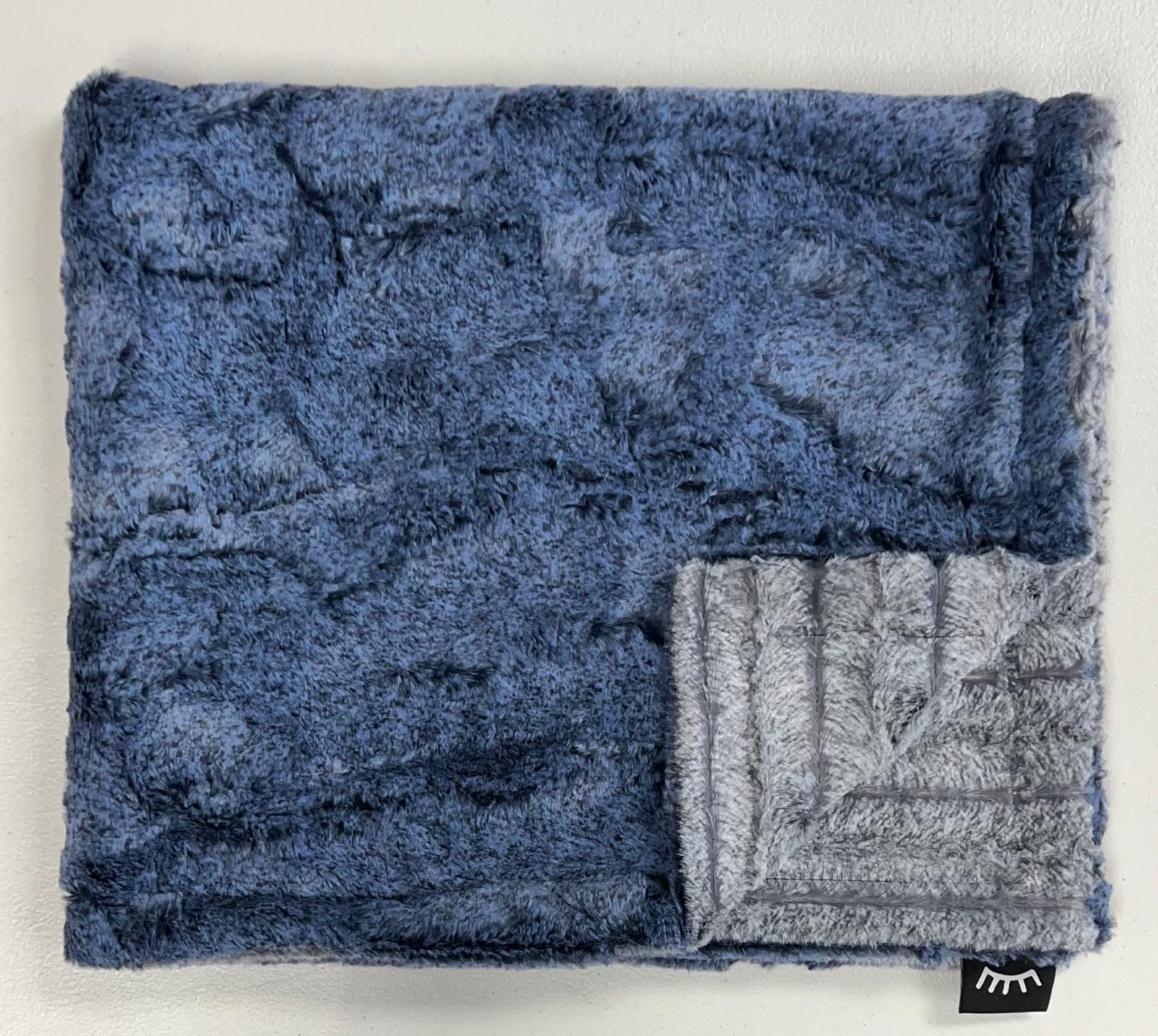 Winx + Blinx Minky Blanket