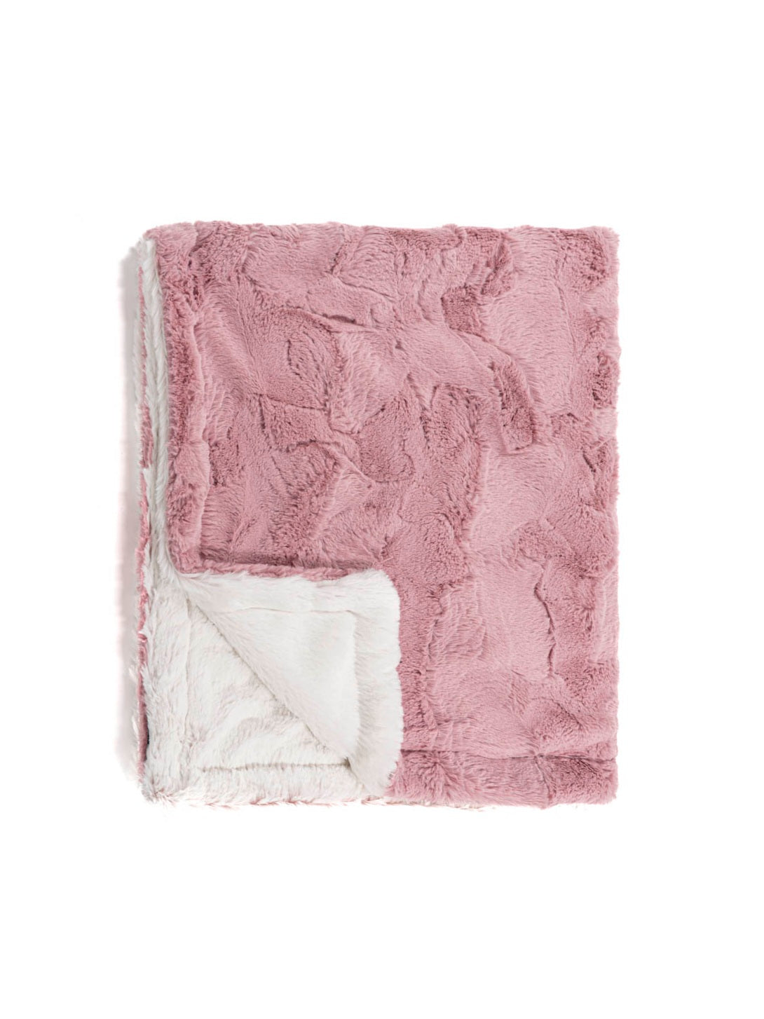 Winx + Blinx Minky Blanket