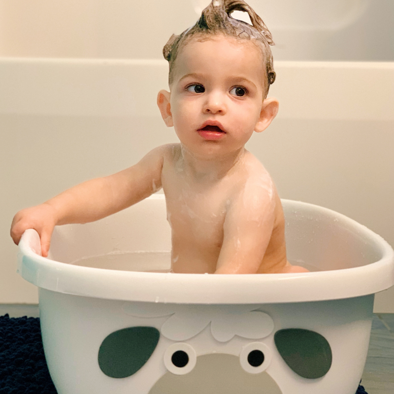 Prince Lionheart Tubimal Baby Bath And Bin