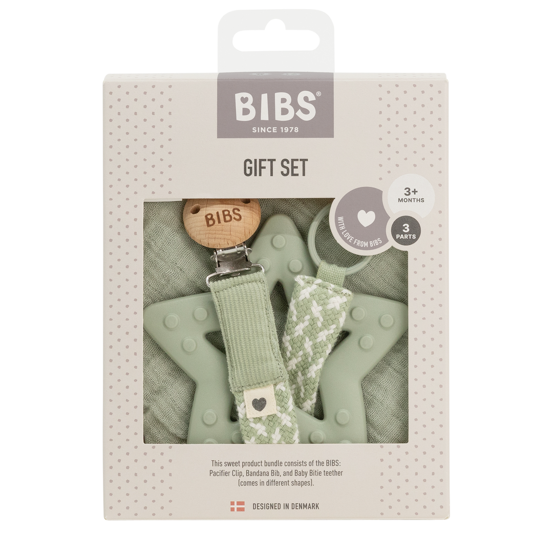 BIBS My First 6 Months Gift Set