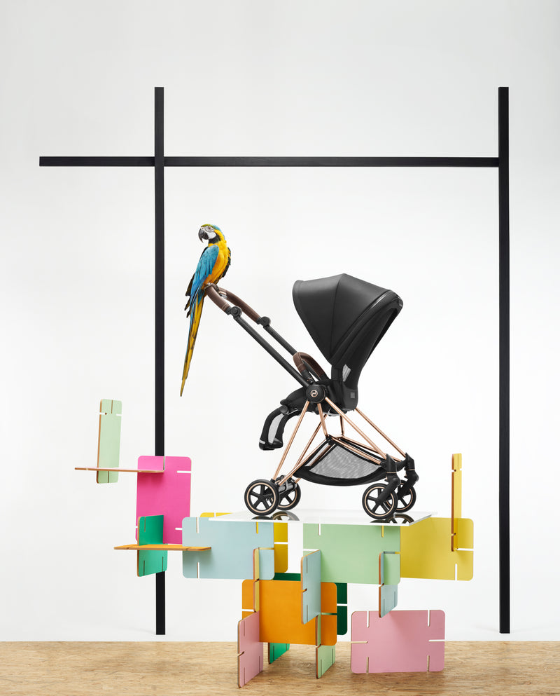 Mega babies' Cybex Mios stroller has a compact frame, making it perfect to use for travel.