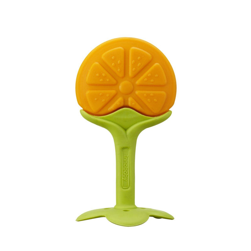 Teether for fruit cheap