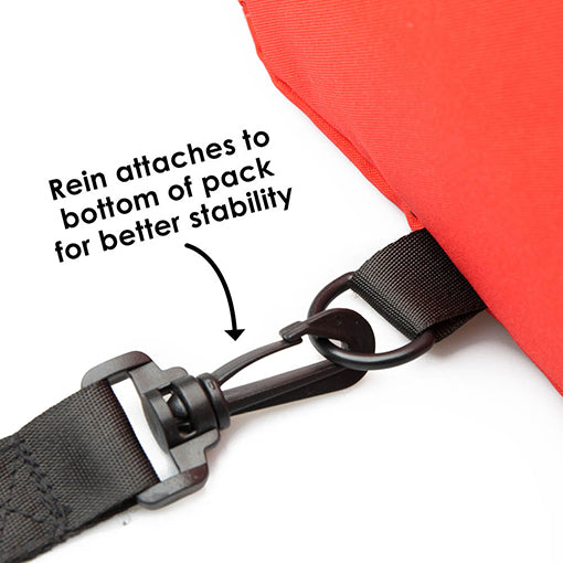 Diono Safety Reins Backpack