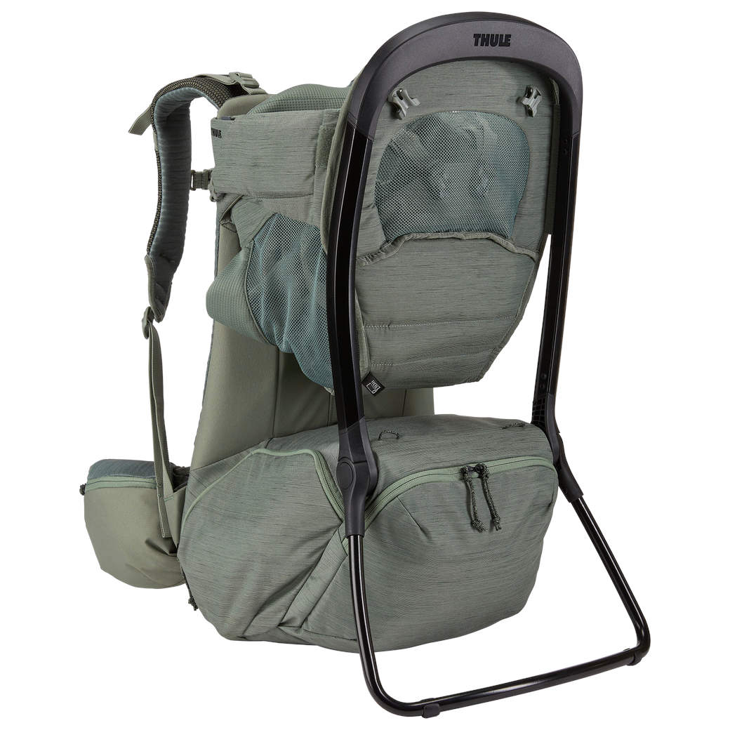 Thule sapling child carrier cheap